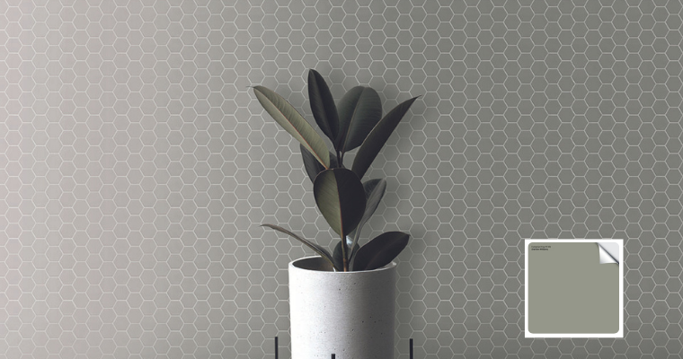 Wild Sage from Terratinta’s Hexa collection on a tile wall showing the perfect pair to Sherwin Williams color, Evergreen Fog.